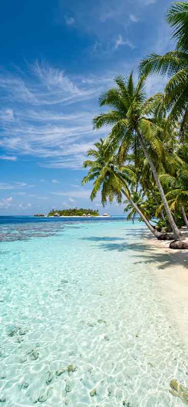 Island Wallpapers for iPhone & Android | One4Wall